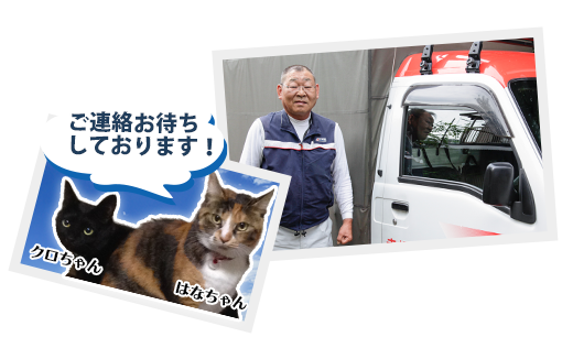 猫（ご連絡ありがとうございます）と社長